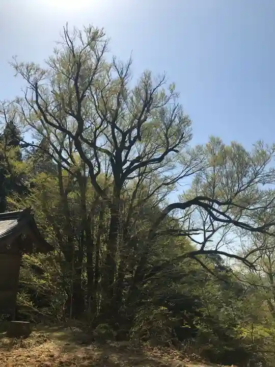 正法寺(滋賀県)