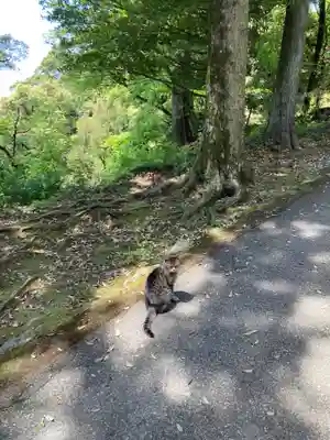 唐澤山神社(栃木県)