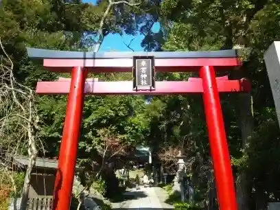 來宮神社(静岡県)