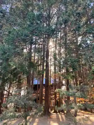 曹源寺(岡山県)