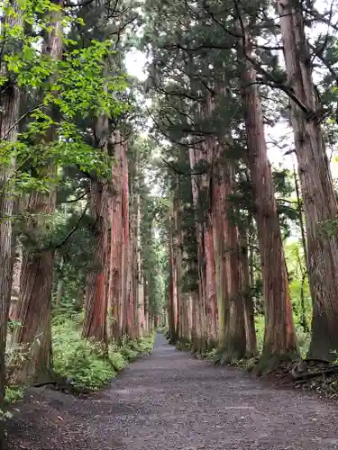 戸隠神社奥社のその他建物