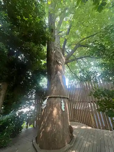 鎮守氷川神社(埼玉県)