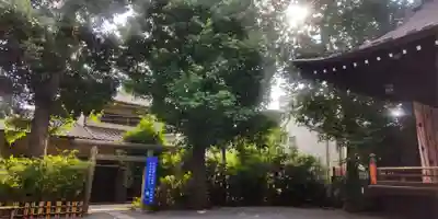 七社神社(東京都)
