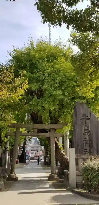 牛嶋神社の鳥居
