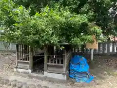 御井神社(岐阜県)