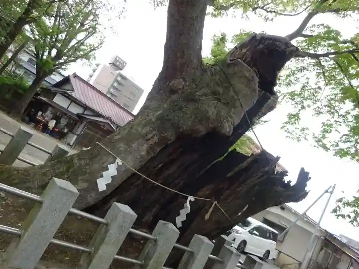阿邪訶根神社の自然