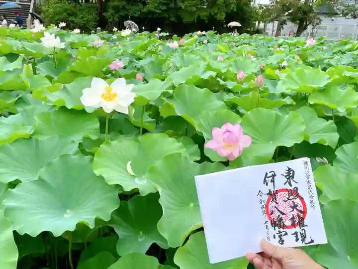 伊賀八幡宮の自然