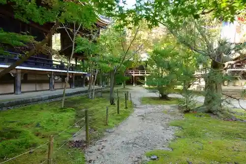 光明寺（粟生光明寺）の庭園