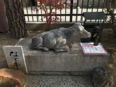 六波羅蜜寺の狛犬