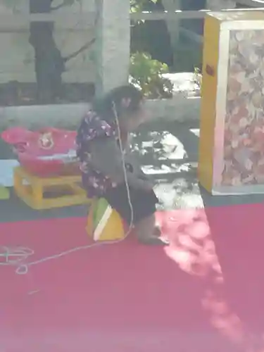 湯島天満宮の動物