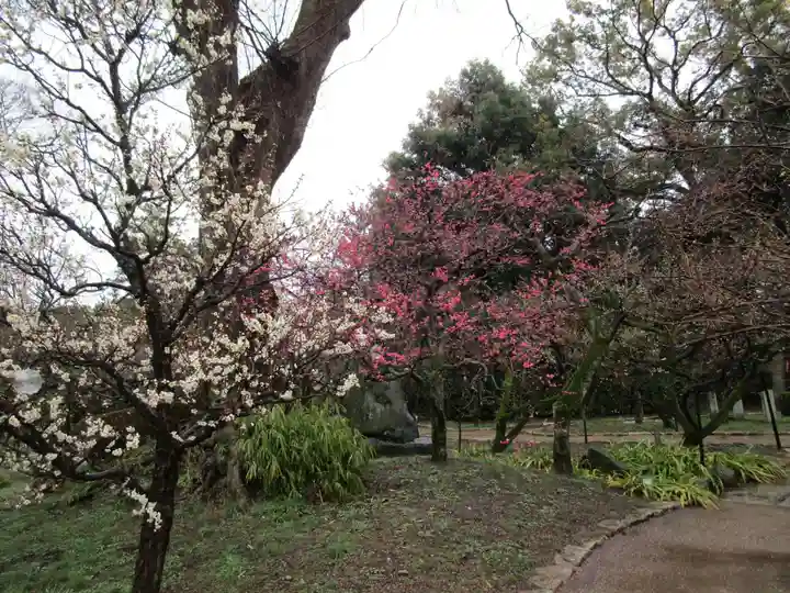 北野天満宮(京都府)