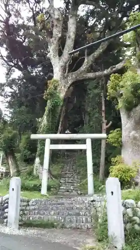 大井神社の鳥居