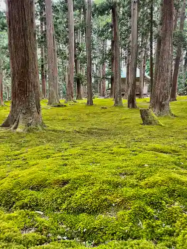 平泉寺白山神社の自然