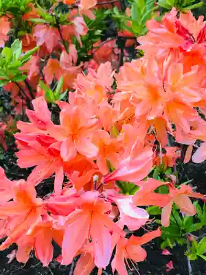 密蔵院米山寺(新潟県)