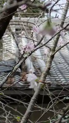 十輪寺(京都府)