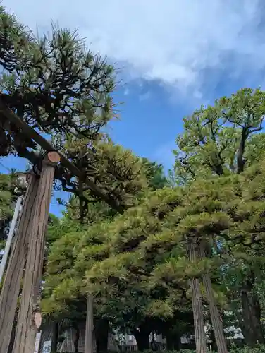題経寺（柴又帝釈天）(東京都)