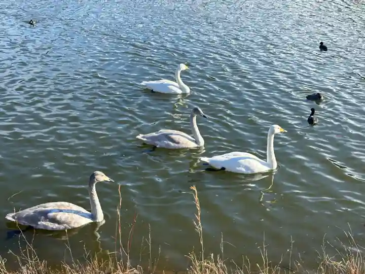 常陸二ノ宮 静神社(茨城県)