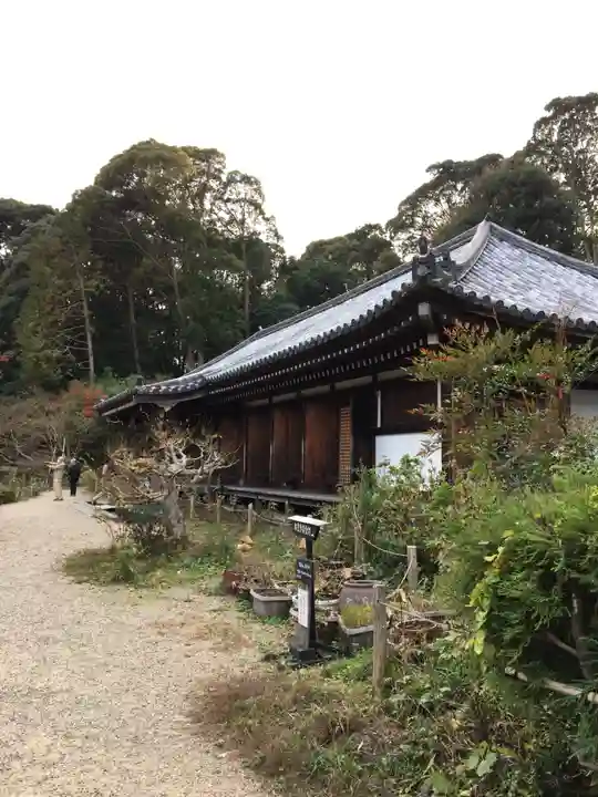 浄瑠璃寺の本殿・本堂