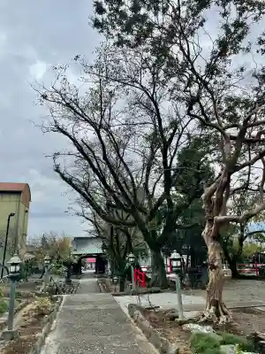延命寺(神奈川県)