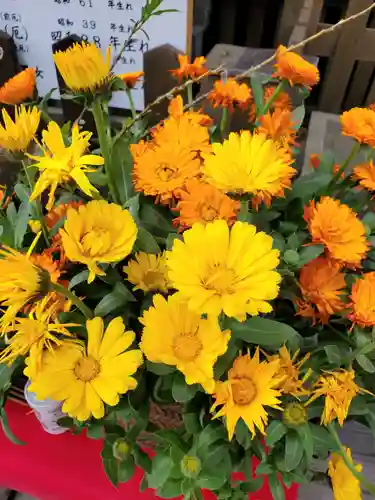 阿邪訶根神社(福島県)