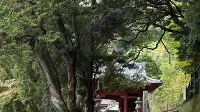 那古寺(千葉県)