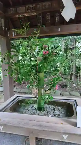 赤坂氷川神社(東京都)