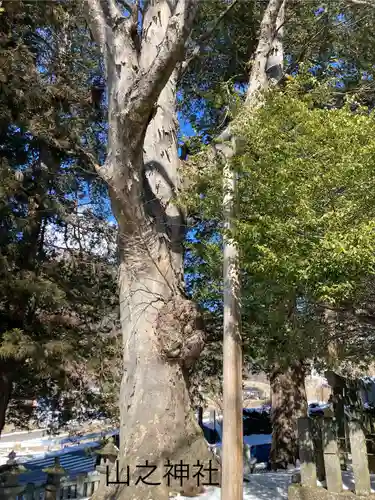 山之神社(長野県)