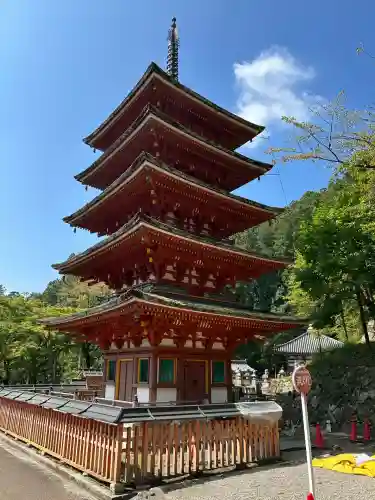 長谷寺(奈良県)