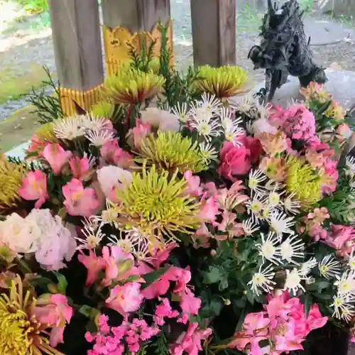 彌彦神社　(伊夜日子神社)の手水舎