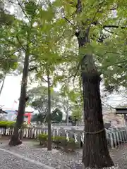 玉前神社(千葉県)