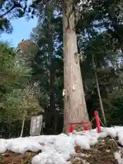 御形神社(兵庫県)