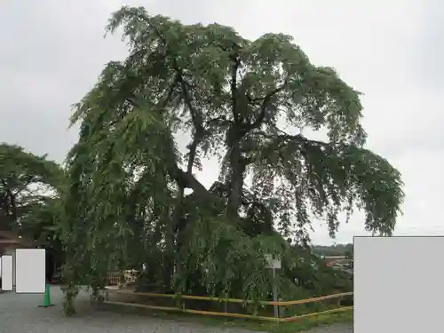 身照寺(岩手県)