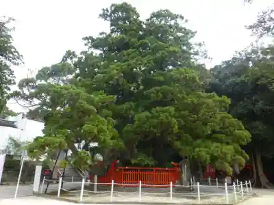 香椎宮(福岡県)