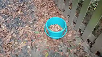 阿邪訶根神社(福島県)