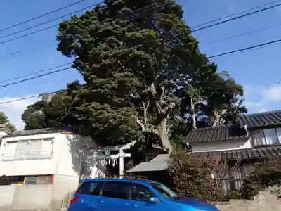 津之宮神社のその他建物