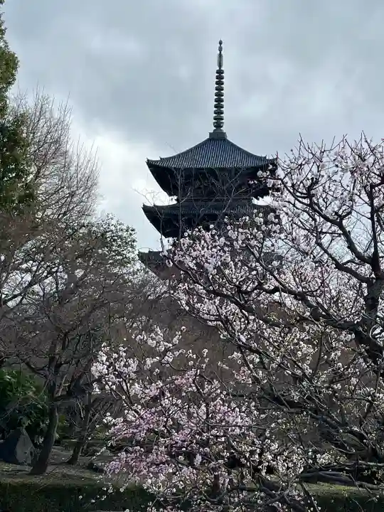 東寺(教王護国寺)の{uncategorized: "未分類", other: "その他", undefined: "問題あり", building: "その他建物", grave: "お墓", sacred_gate: "鳥居", guardian: "狛犬", statue: "像", buddha: "仏像", history: "歴史", nature: "自然", garden: "庭園", animal: "動物", pagoda: "塔", temizu: "手水舎", mountain_gate: "山門・神門", sanctuary: "本殿・本堂", subordinate: "末社・摂社", art: "芸術", scenery: "景色", jizo: "地蔵", ema: "絵馬", goshuin: "御朱印", omikuji: "おみくじ", items: "授与品その他", amulet: "お守り", goshuincho: "御朱印帳", eats: "食事", festival: "お祭り", votive_dance: "神楽", shichigosan: "七五三参", wedding: "結婚式", experience: "体験その他", initially: "初詣", around: "周辺", anti_infection: "感染症対策"}