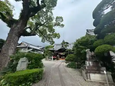 出雲大社讃岐分院(香川県)