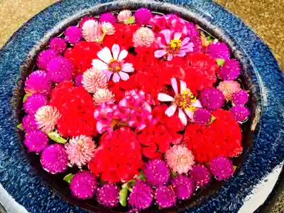 真言宗　善通寺派　薬王寺(香川県)