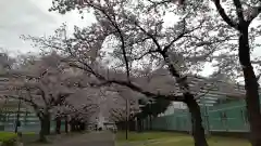 隅田川神社の自然