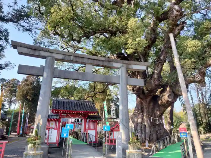 山宮神社の鳥居