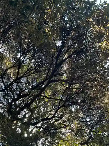 太子堂八幡神社(東京都)