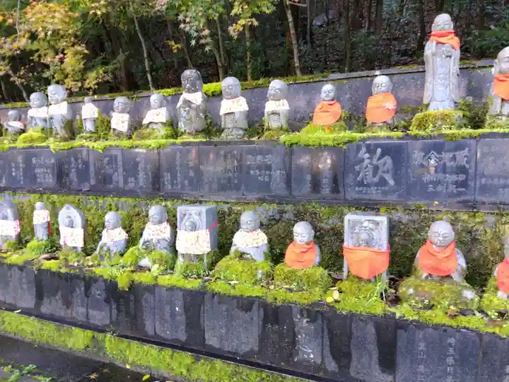 御誕生寺(猫寺)(福井県)