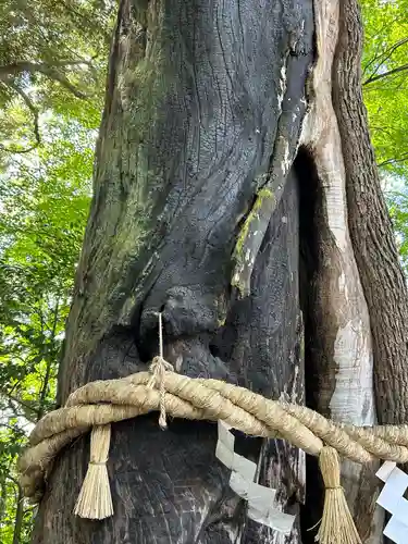 常陸國總社宮(茨城県)