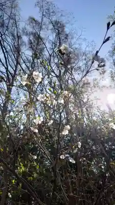 相馬神社(北海道)