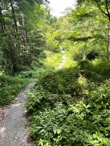 竹中稲荷神社（吉田神社末社）(京都府)