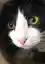タコさんのプロフィール画像