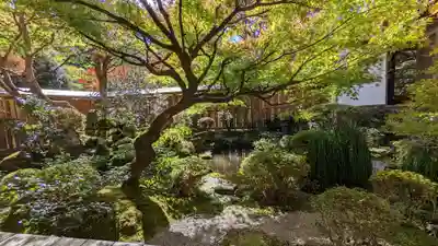 宝泉院(京都府)