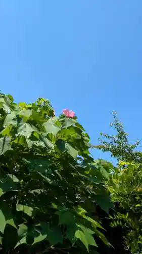 後白河院御聖蹟　法住寺(京都府)