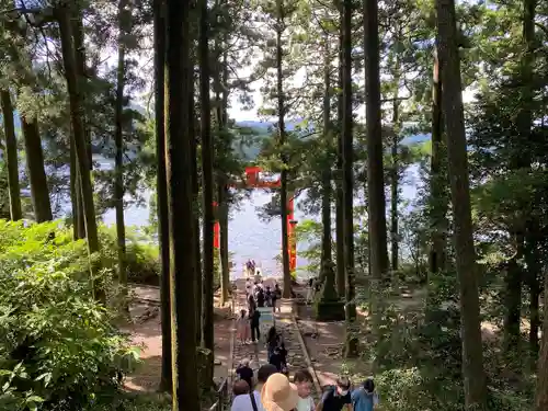 箱根神社の景色