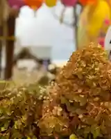 札幌諏訪神社の手水舎